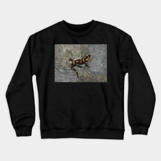 Fire Salamander on Rock Crewneck Sweatshirt